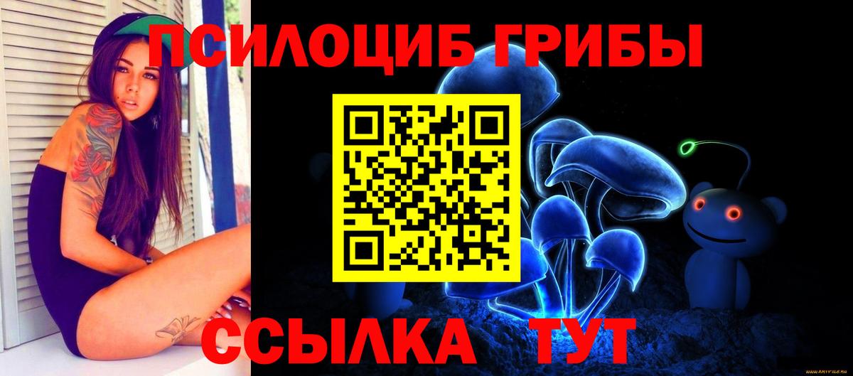 Галлюциногенные грибы Psilocybine cubensis Сланцы