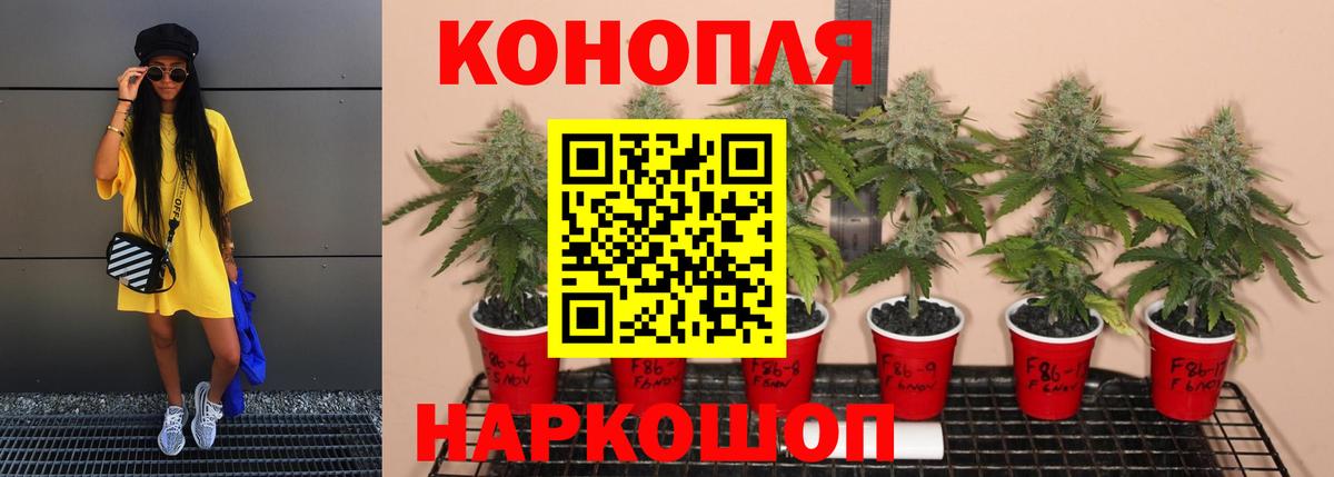 Марихуана ГИДРОПОН Сланцы